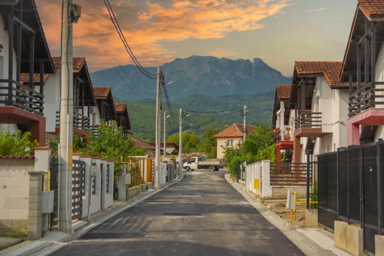 Casa Gabrielle Villa Călimăneşti Екстериор снимка